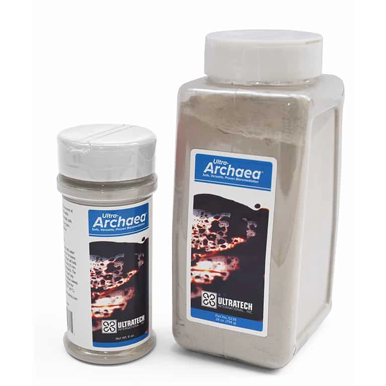 Ultra-Archaea